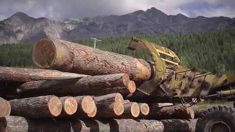 Canadian Timberframes - Log Decks & Sawmill