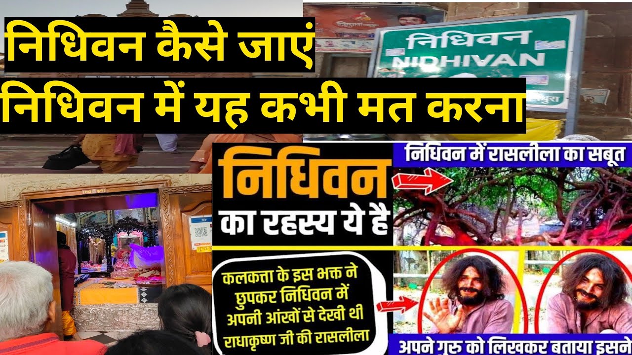 निधिवन का रहस्य | निधिवन कैसे जाएं| निधिवन में क्या ना करें| #nidhivan #vrindavan #rasleela
