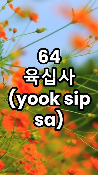 Say The Numbers 60 To 70 In Korean korea korean koreatrip say-the-numbers-60-to-70-in-korean-korea-korean-koreatrip