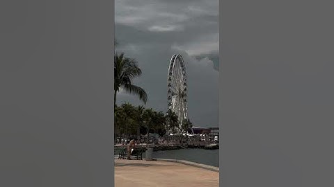 Miami Trip | South Beach Planning | mini vlog | 마이애미 여행 Part.1