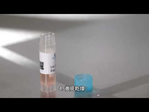 如何正確清洗你的Dyson風扇filter？專業清洗技巧大公開！