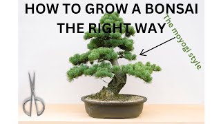 Mastering Bonsai  Your Ultimate Guide