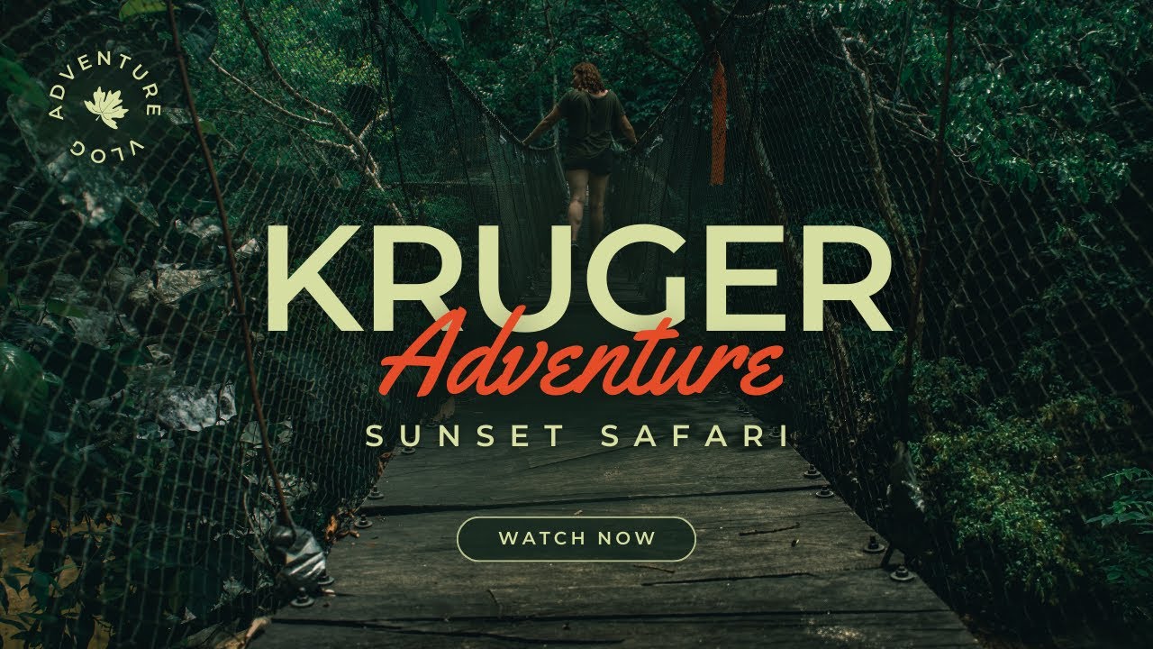 Sunset Safari  A Wild Encounter in Kruger