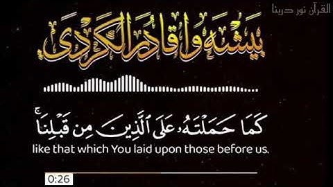 اجمل حالات واتس اب قران كريم بصوت جميل جدا💚 ||القارئ بيشه قادر الكردي|💚-- تلاوات خاشعة(4)