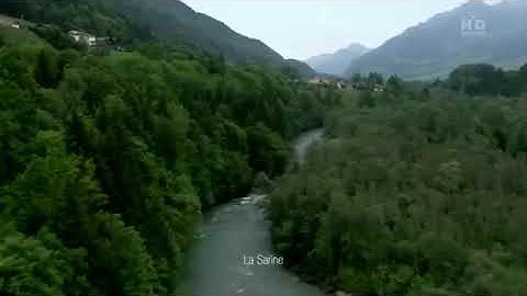 القارئ عمرو الضالعي