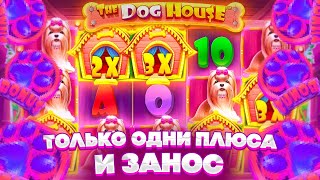 ЛОВЛЮ ТОЛЬКО ПЛЮСА И ЗАНОС ***Х в THE DOG HOUSE MEGAWAYS !!!