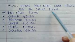 What is plexus in nervous system | five large plexus in the body