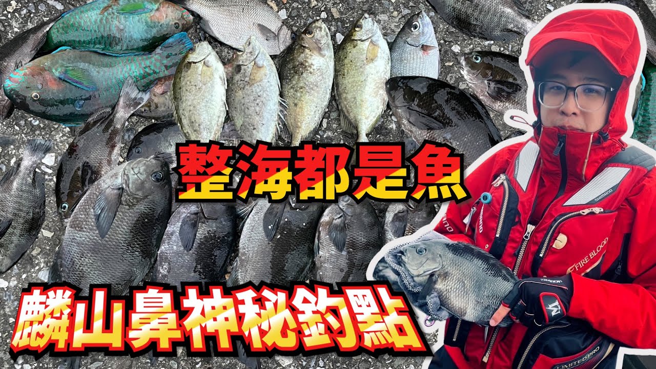 【磯釣】麟山鼻最神秘的釣點 滿滿都是魚 有時候就是大好大壞 #虎亂釣 #釣魚分享 #磯釣 #麟山鼻 #釣點分享