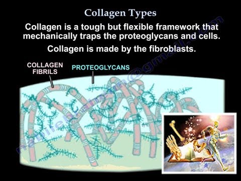 Video: Forskjellen Mellom Type 1 Og 2 Kollagen