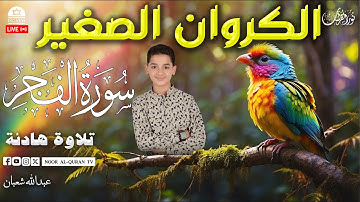 تلاوة خاشعة تهز القلوب | سورة الفجر بصوت يملأ القلب خشوعًا للقارئ#عبدالله_أحمد_شعبان #قرآن_كريم