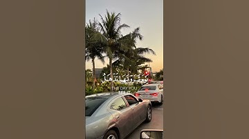 ماهر المعيقلي #اسلاميات #تلاوات_خاشعة #تلاوة #تلاوة_هادئة #قرآن #قرآن_كريم #قران_كريم #قران