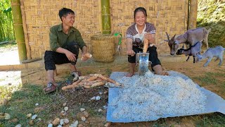 Completed stone embankment, Luu and Linh went to dig cassava to dry, to raise ducks - Days 36