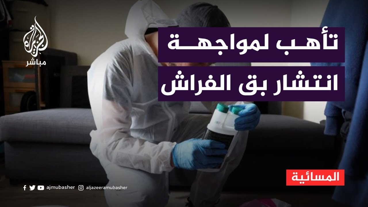 بق الفراش يؤرق تونس والمغرب.. وفرنسا تغلق بعض المدارس
