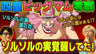 【 考察 】 四皇 ビッグマムの