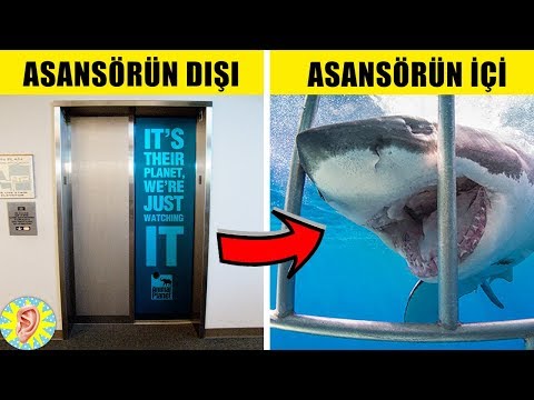 Dünyanın En İnanılmaz 10 ASANSÖRÜ