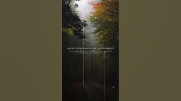 #قران_كريم #سورة_النحل #القارئ_أحمد_النفيس