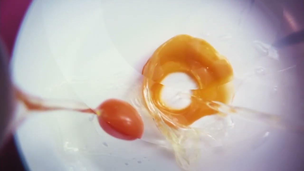 Canal+ Kuchnia - Zakończenie przerwy technicznej 22.11.2022