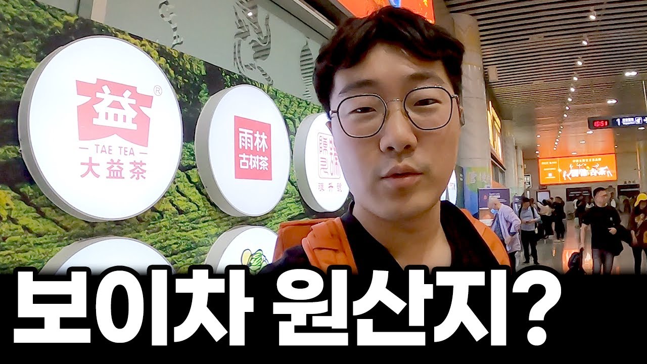 (운남성 서쌍판납) 보이차의 원산지는 어떨까?