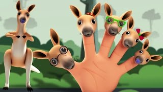 Känguru Finger Familie | Fingerreim | Kinderreime für Kinder | Kids Music | Kangaroo Finger Family