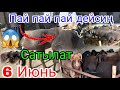 0774010861.Пай пай күчтүү🐏 кочкорлор😱сатылат🏃 Шашылыңыздар тез көрүп жетишип кал😱6 Июнь .Оххоо 👍👍👍👍