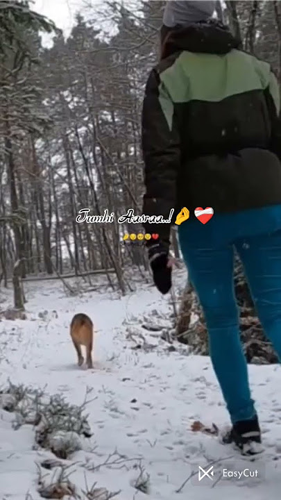 kahani sunao #youtubeshorts #2025shorts #sad #stetus  #sadpoetry #kaafikhalil