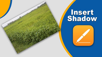 how to add shadow to image in apple pages for iCloud