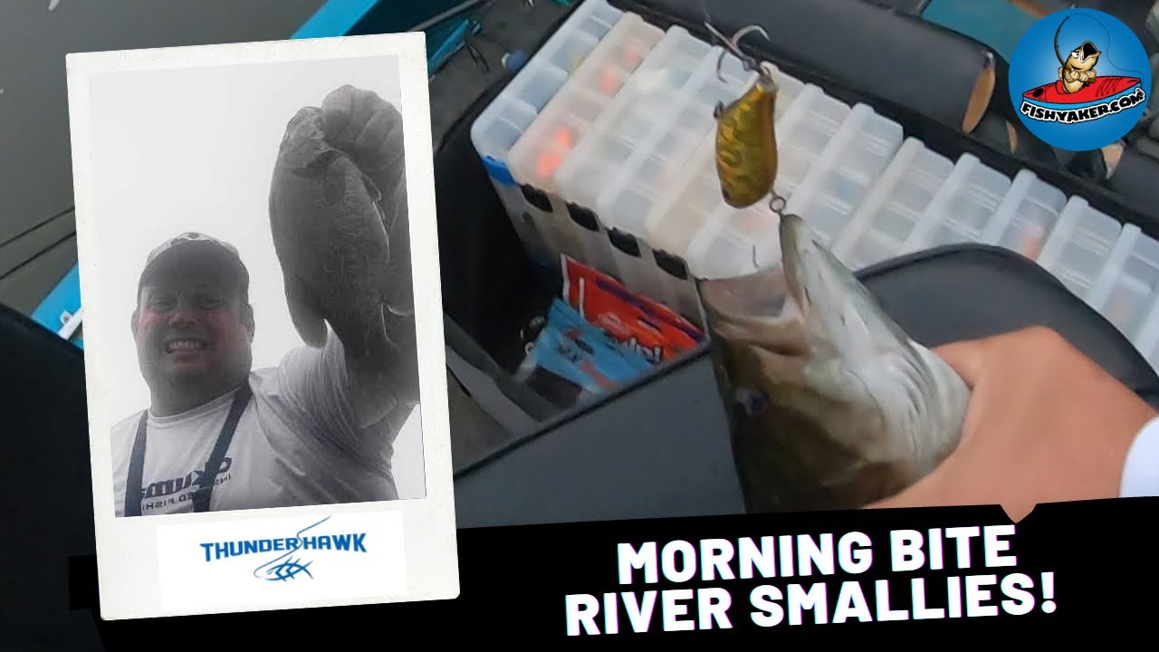 Early Morning Bite! Summer Smallmouth Bass Fishing #bassfishing  #fishing  #smallmouth