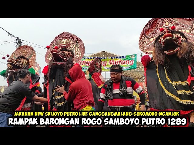 Rampak Barongan 1289❗Jaranan NEW SRIJOYO PUTRO Live GanggangMalang Sukomoro Nganjuk class=