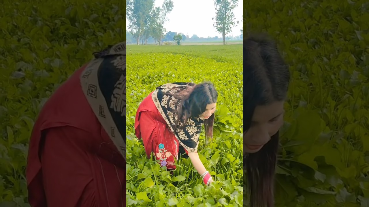 phool phool per Bani Teri tasvir