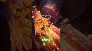 Is Eating Eggs Good or Bad | Debunking Misconceptions About Cholesterol