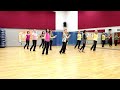 Half a cha  line dance dance  teach in english  