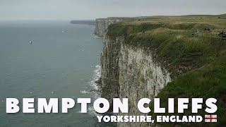 Bempton Cliffs, Yorkshire, England
