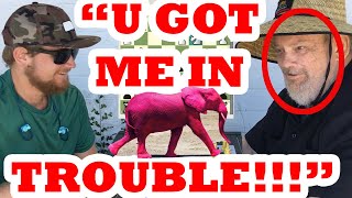 Pink Elephant Herding Mate Makes Him Say WOW! Ice Trey vs FM Mark The Duck screenshot 5