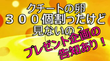 国際孵化 Oras