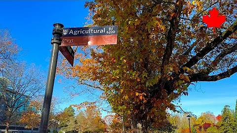 【Vancouver 2025】🇨🇦 1 Minute -UBC 32-