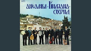 Video thumbnail of "Ansambl Biljana - Četvorica Komiti"