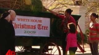 Raw Video: White House Christmas Tree Arrives