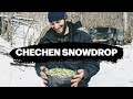 Exploring Wild Garlic In Chechen Culture 