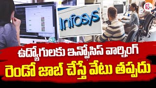 Special Focus on Software Employee | Latest News | SumanTV screenshot 2