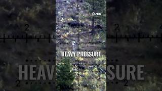 How Much Shoulder Pressure for the 308