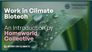 Work on Climate X Homeworld Collective  Work in Climate Biotech