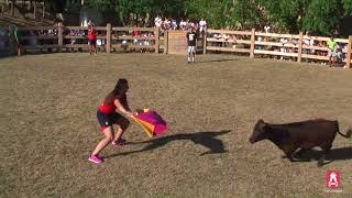 Vaquillas Fiestas Aibar 2017