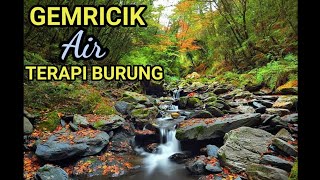 Suara Air Gemericik Di Kolam Ikan Terapi Burung Kicau Dan Pengantar Tidur