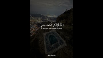 🌿 "تلاوة قصيرة وهادئة من القرآن الكريم تهز القلوب وتبعث الطمأنينة في النفوس.