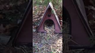 Feral Cat Shelters Part One screenshot 1