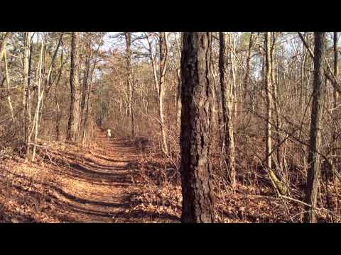 Otto meets a jogger in the woods