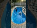 I Restored a Toxic Swamp Pool (Wait for the Refill!) #diy #pool #poolcleaning
