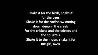 Luke Bryan - Country Girl Shake It For Me - Lyrics