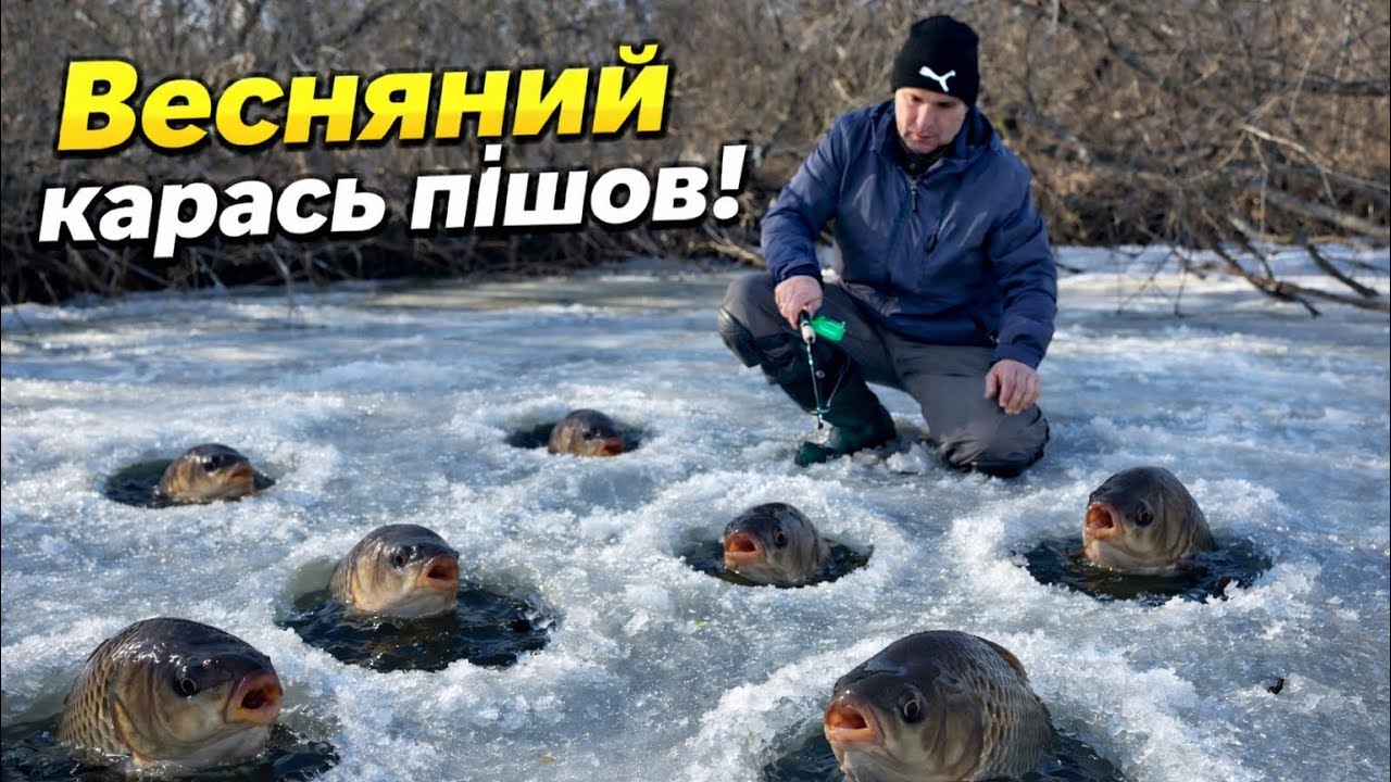 Великий карась з криги. Гарне закриття сезону. #дозариболовлі #риболовля #карась #крига 
