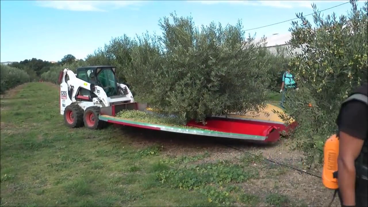 Zeytin Hasat Makinesi ve Yedek Parçaları Toptan & Prakende ...
